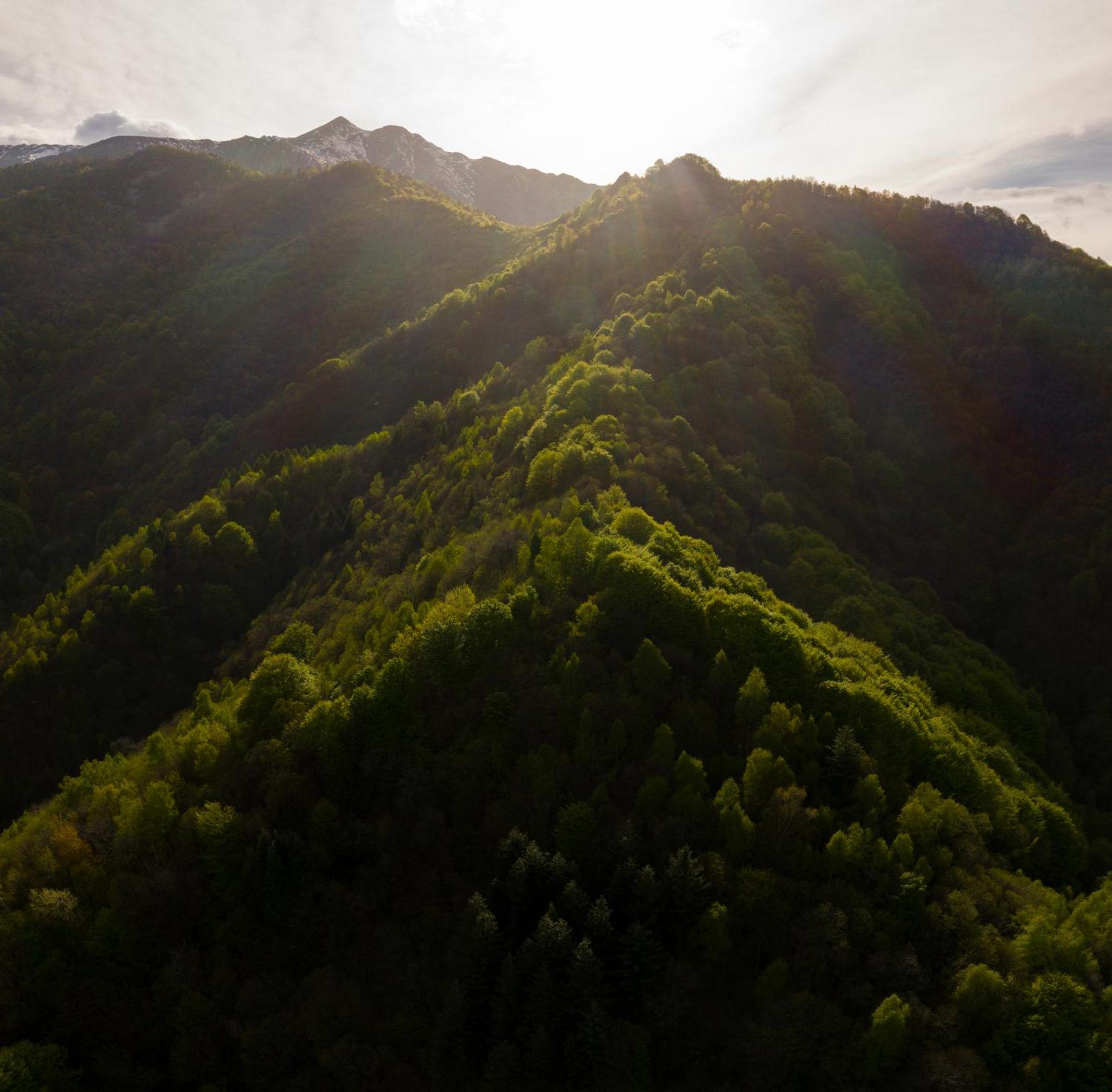 Iduevagamondi - Ospitalita Rurale Famigliare Di Montagna Bed & Breakfast Chiusa di Pesio Exterior foto